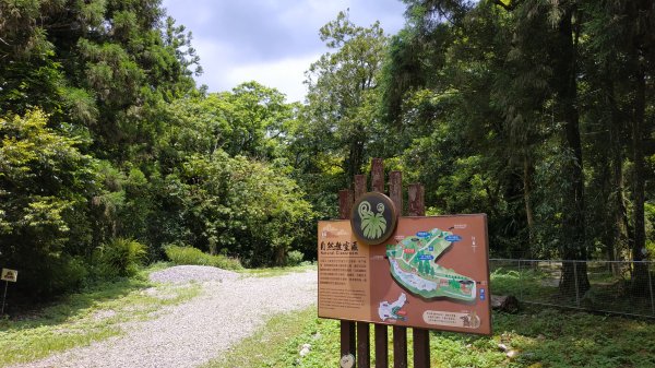 福山植物園1091006