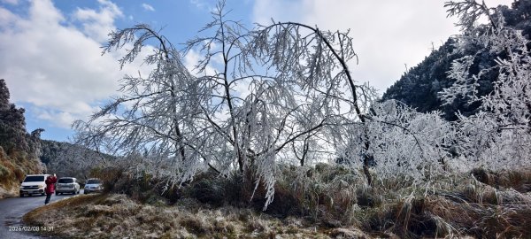 #霧淞 #雲海 #雲瀑 #霧虹 #太平山 #望洋山 #觀雲步道 #翠峰道路  2/82995252
