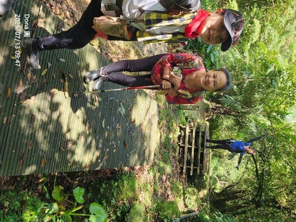 【菁桐】巡山東勢格古道全段加碼臭頭山2848011