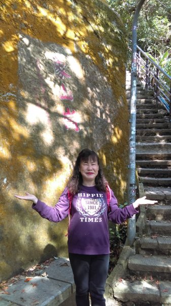 【臺北大縱走 6】象山拇指山南港山九五峰918402