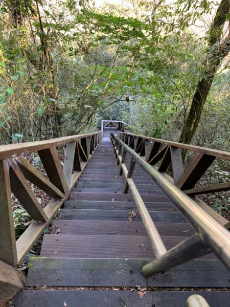 梨山賓館步道875986
