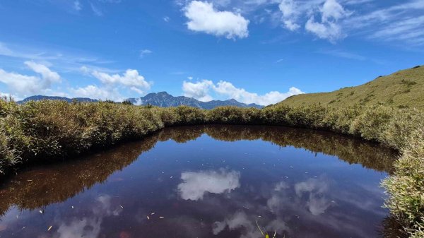 20250515-20250516 《登》合歡群峰3020158