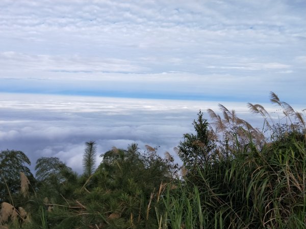 雲嘉大尖山步道2373951