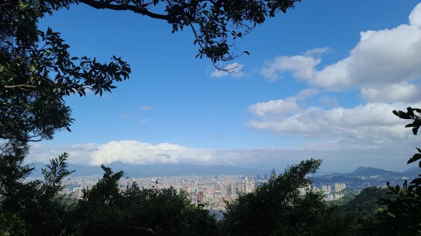 2021-0103 烘爐地步道大O型1224245