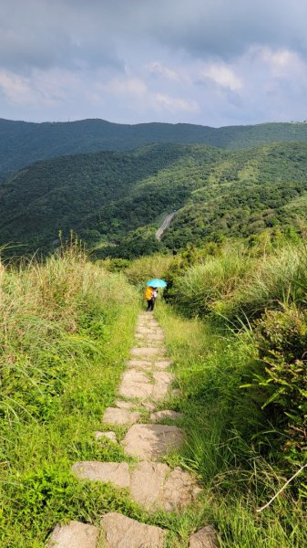 小油坑-風櫃口-202408252601463