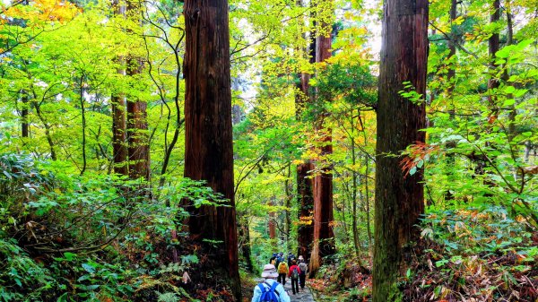 山形縣羽黑山神社2929702