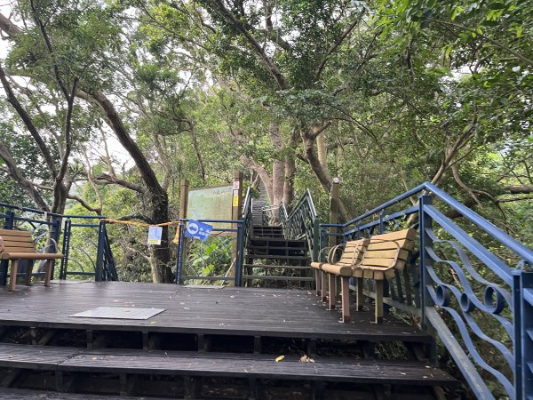 [百山百鳥尋旅-01/15] 2025_0807 和美山步道2854546