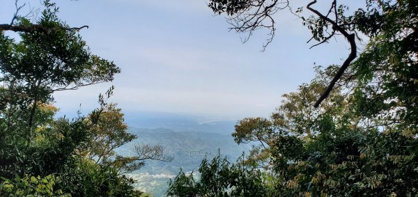 一日2座小百岳仙山、關刀山外加獅潭仙草秘境2082390