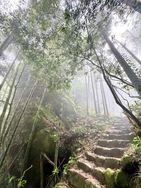 豹牙登山口上鳳凰山/小百岳#533069663