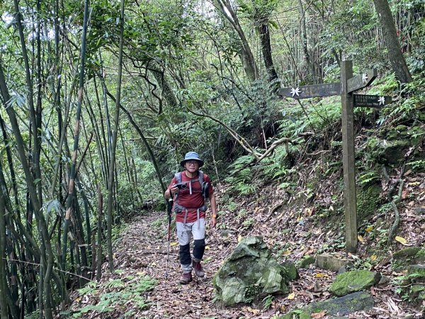 [淡蘭古道] 2026_0502 北路第二段_楊廷理古道3047704