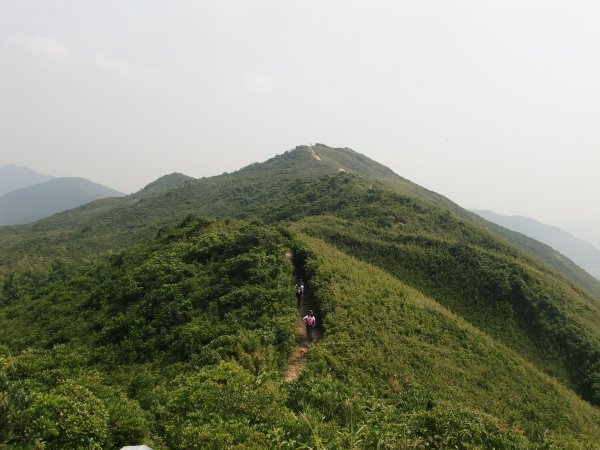 香港山系 －港島931591