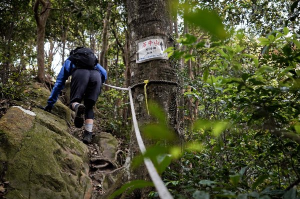 新竹石牛山步道｜小百岳2756525