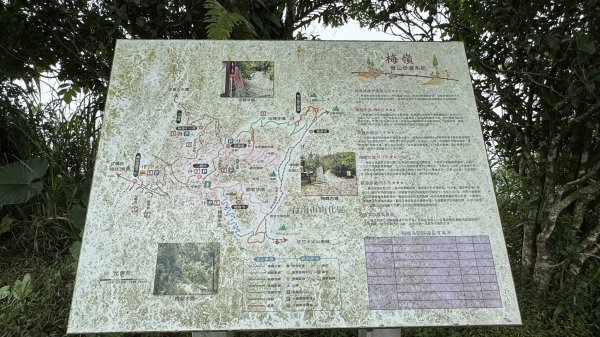 20251025 小百岳竹子尖山及刣牛湖山2925026