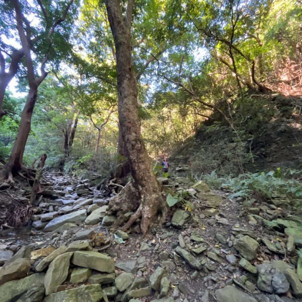 20251214_女仍山（屏東小百岳）2968712