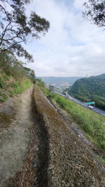 銀河洞越嶺貓空-新高麗坑山-銀獅縱走-猴山岳群峰+三條魚縱走2998310