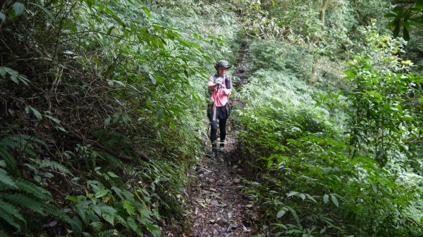 小觀音山登山健行趣(郊山)1680246