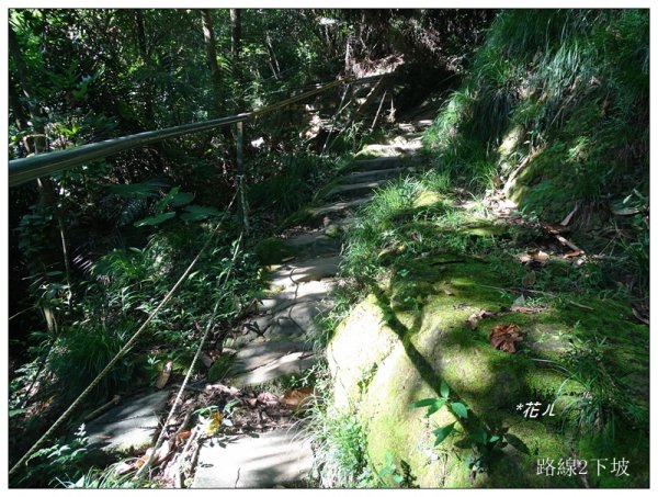 大坑/觀音山(小百岳)632372