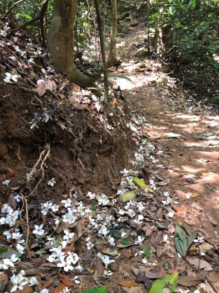 1080427火炎山576460