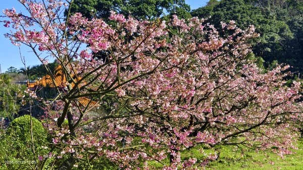 天元宮了嗎？2/32992588