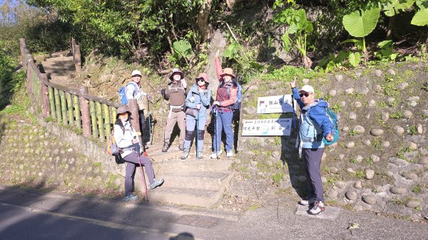 2025貓空樟樹步道花海搶先看，展期：1月18-2月9日，喜歡小冒險可以挑戰攀爬路線猴山岳。2691445