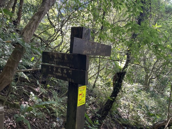 【二格山系】皇帝殿稜線2914122