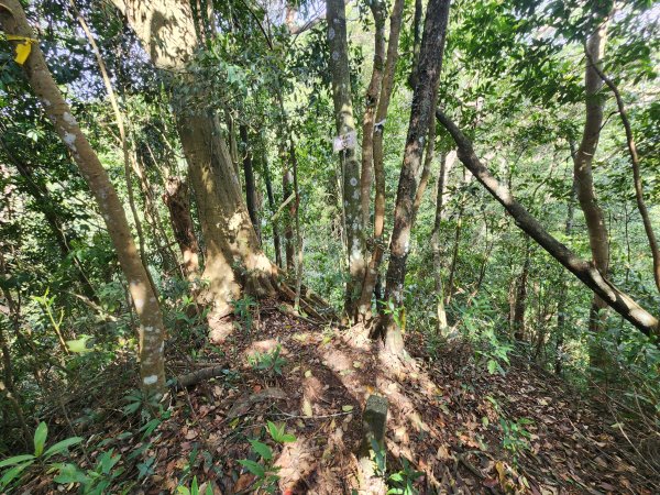 20251214石牛山柑坪山新柑坪山牛背岩2972743