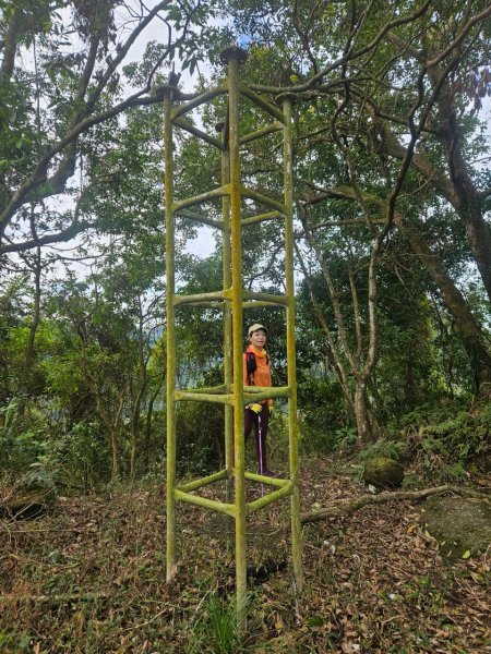20250105隆盛山-煤渣山-雙溪口山主東峰-排寮尖-十八重溪山2683209