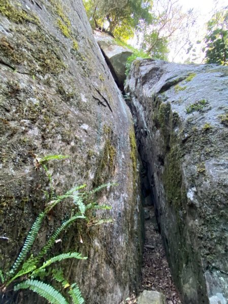 加里山前山、鐵道遺跡、索道、香菇寮2052742