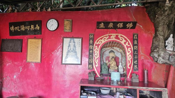 20251003高麗坑山-新高麗坑山-高麗坑山西北峰2903118