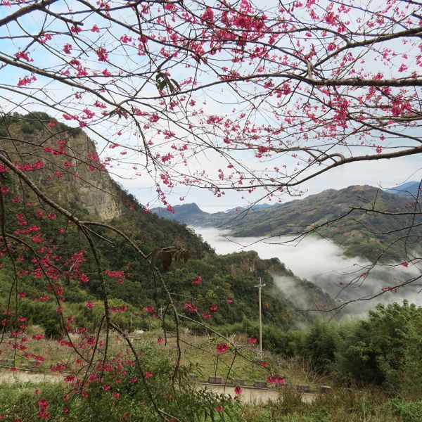 馬那邦山(珠湖線來回)375005