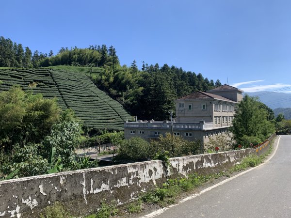 20250816嘉義鼠眉毛O繞2864063