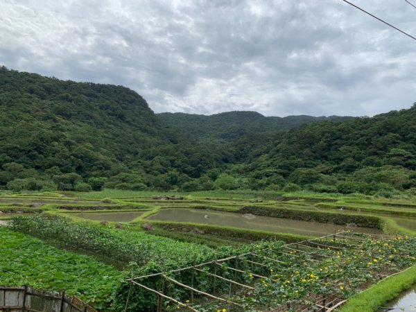 1080704草嶺古道623787