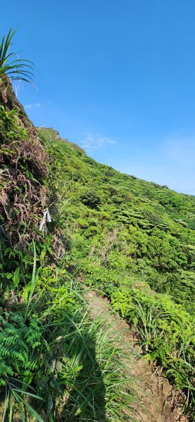 速攀330，郊山之王劍龍稜3045844