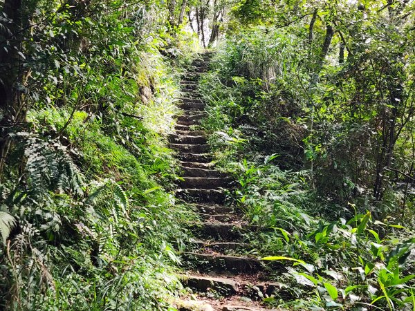 小百岳No.17⛰二格山2895580