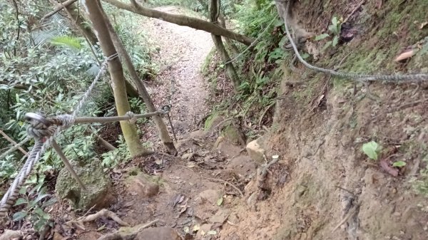 汐止區翠湖步道-學頭坡步道-老鷲尖-內溝山步道-翠湖P字走3051240