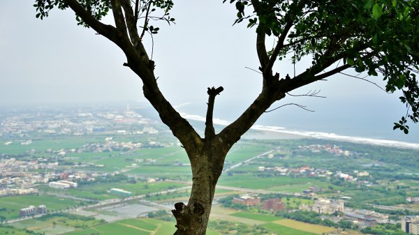 20200414七星嶺步道 星嶺公園1495668