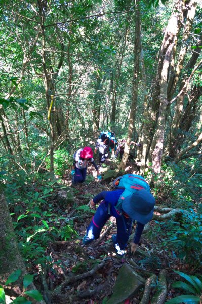 煤源登內鳥嘴山728947