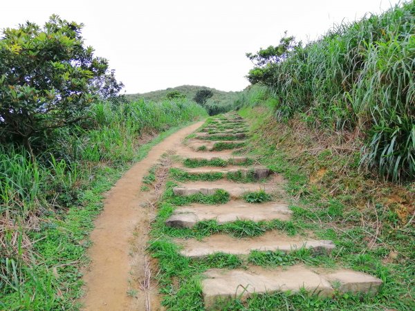 盡攬山海景迷人景緻。南子吝登山步道754315