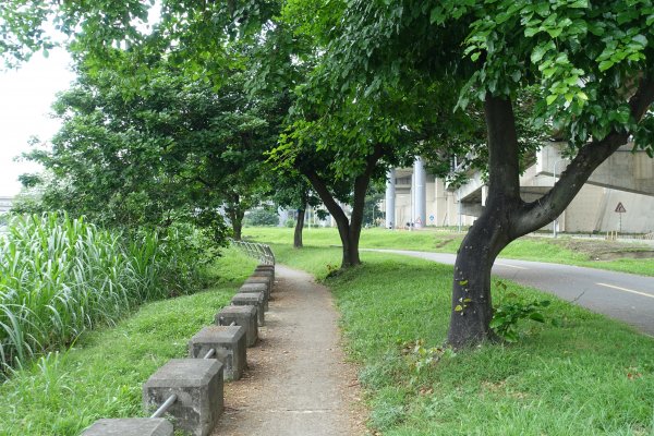 龍山河濱公園．玉泉公園1124281