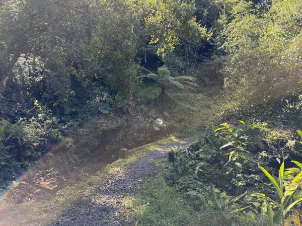 [淡蘭古道] 2026_0315 南路第三段_四分子古道3016920