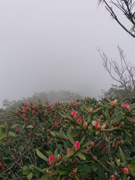 橫嶺山、鳶嘴山O 走1660944