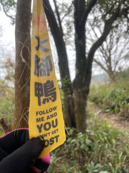 銀河洞越嶺貓空-新高麗坑山-銀獅縱走-猴山岳群峰+三條魚縱走2699515