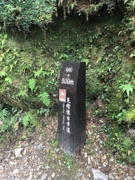 見晴古道。0.9K的抒情浪漫1494526
