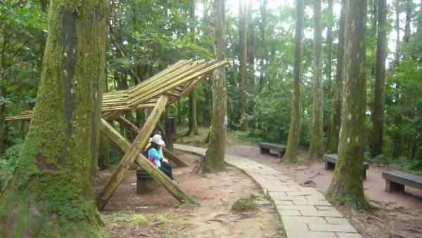 山林美境尋寶石、小百岳-東眼山森林遊樂區1111896