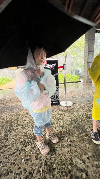 🌈貂山古道-黃金地質公園-黃金神社🌈2601279