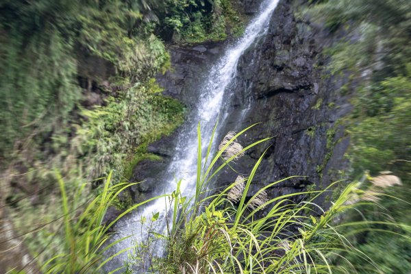 礁溪 五峰旗-跑馬古道3029607