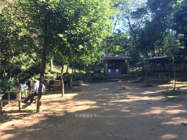 溪洲山登山口-新溪洲山-石門水庫897613