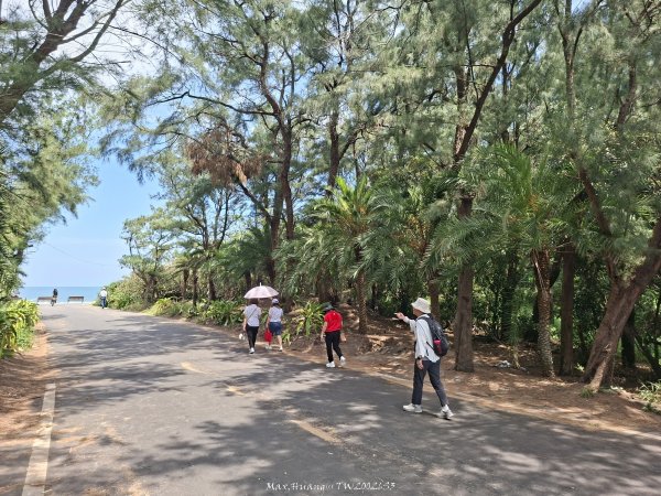 《桃園》驕陽似火｜永安北岸濱海步道202607253090769