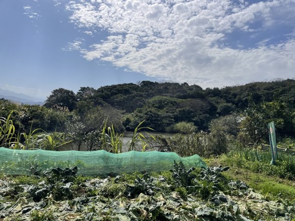 鳳鳴越嶺山佳2708079