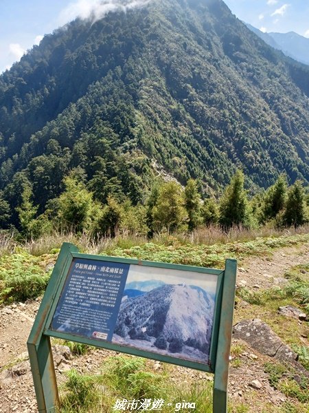 【南投信義】媲美百岳美景。 麟趾山鹿林山O型1859468